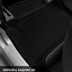 Левый пассажир