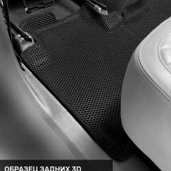 Левый пассажир