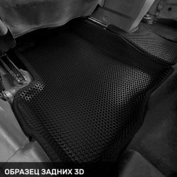 Левый пассажир