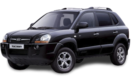 2D коврики EVA в салон и багажник  на Hyundai Tucson I (2004-2010)