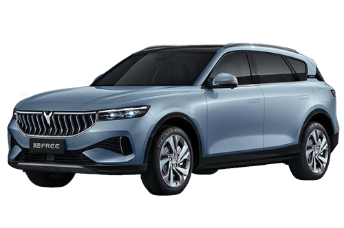 2D коврики EVA в салон и багажник на Voyah Free (2021-н.в)