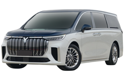 2D коврики EVA в салон и багажник на Voyah Dream (2021-н.в)